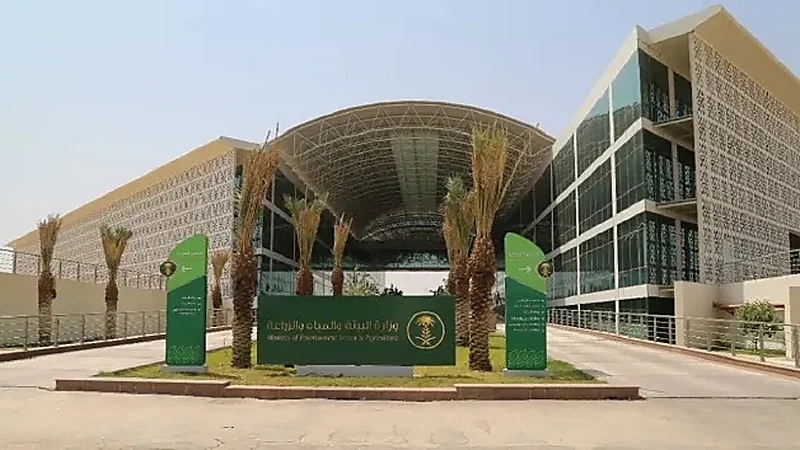 " البيئة " تفرض حظر استيراد الأبقار من إسبانيا بسبب " جنون البقر "