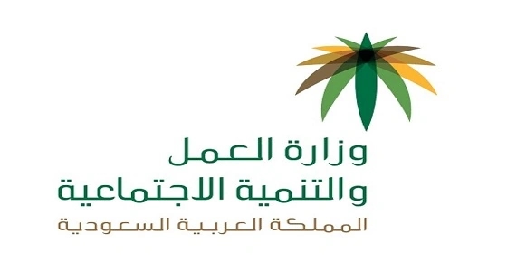 " العمل " تطلق مشروعا لحماية أجور العمالة المنزلية