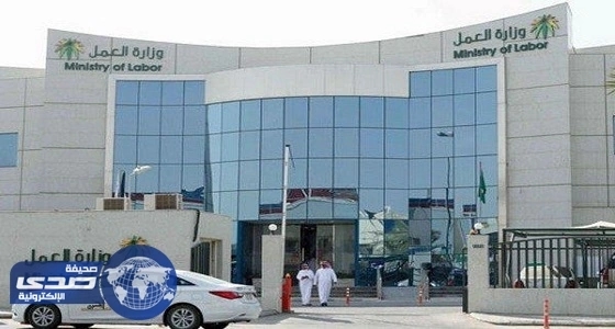«العمل»: الوصول إلى 300 ألف متطوع في 2020