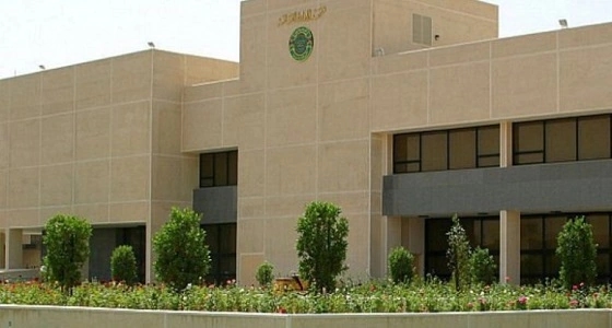 3389 موظفًا حكوميًا وموظفة يلتحقون بـ 114 برنامجًا تدريبيًا بـ " معهد الإدارة " .. غدًا