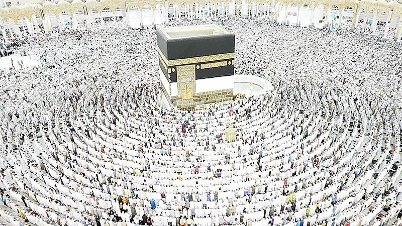 بالفيديو.. حجاج البيت الحرام يستقرون بعرفة