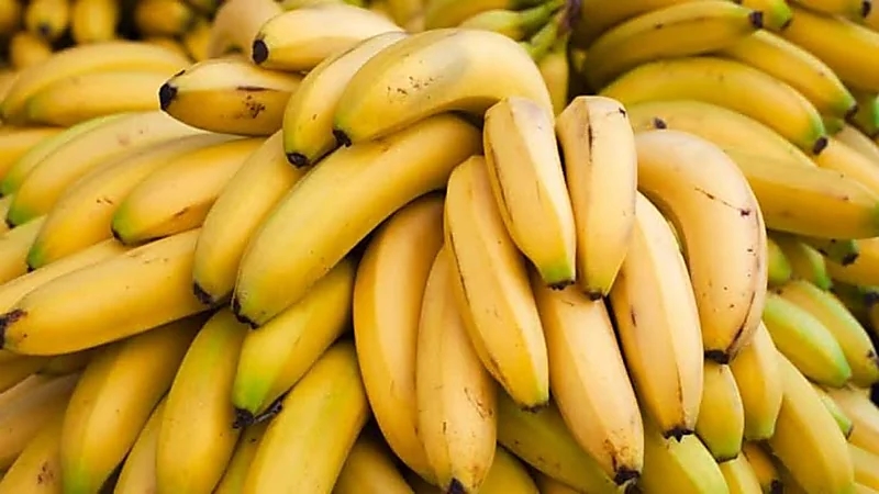فوائد صحية مذهلة للموز الأخضر 