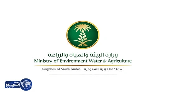 " البيئة " تشارك المجتمع الدولي بالاحتفاء باليوم العالمي للنحل الاحد