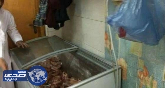 بالصور.. أمانة الطائف تضبط 400 رأس أضاحى مهربة من المشاعر المقدسة