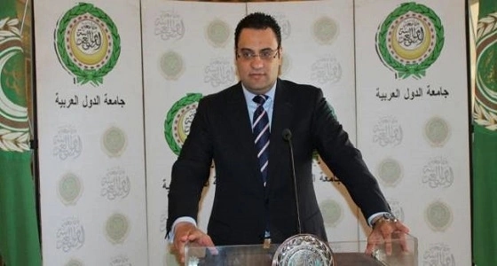 " عفيفي " : استخدام القوة العسكرية في سوريا يعرقل التوصل لحل سياسي