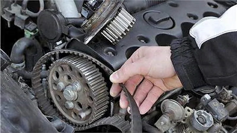 العمر الإفتراضي لسير الكاتينة وطريقة التأكد من سلامته