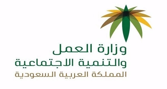 مصادر: استعدادات لإطلاق مشروع لتوطين وظائف التشغيل والصيانة بالمملكة