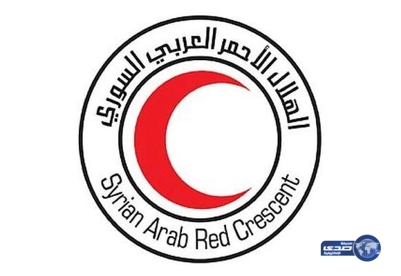 هذا ما حدث للإنترنت بعد مشاهدة مشردين للأفلام الإباحية