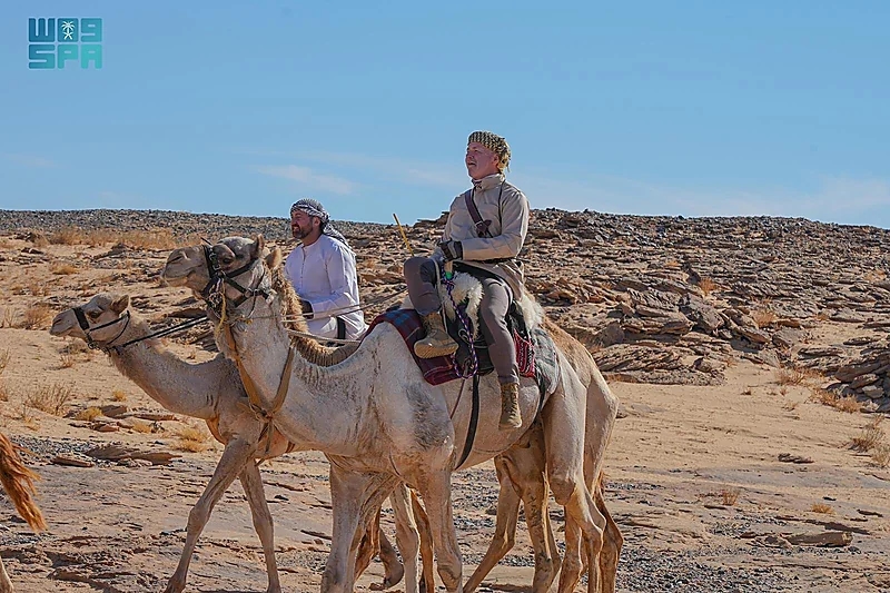 القبض على شخصين لإساءتهما لموظف بمحل تجاري في الجوف