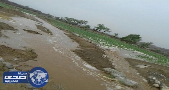 بالفيديو والصور.. هطول أمطار على أضم وقلوة