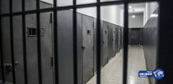 مسؤول بالخارجية المصرية: الشاب المتوفي في ألمانيا داخل أحد السجون "انتحر"