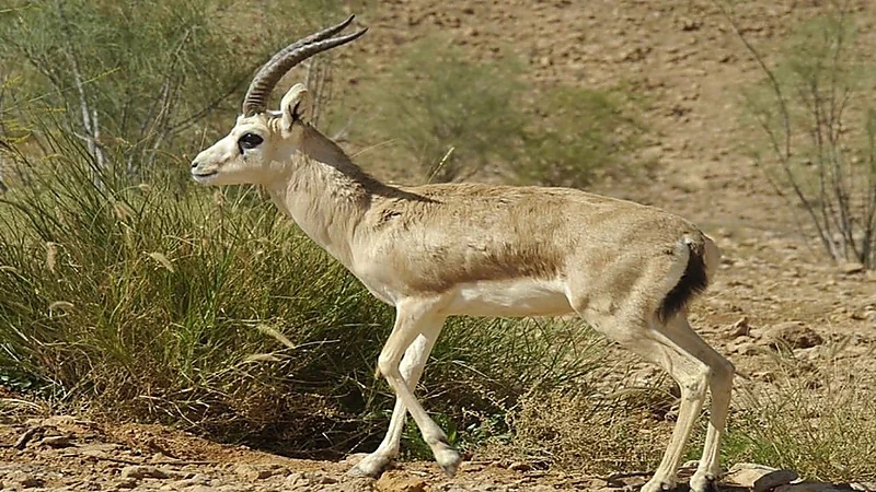 دراسة : النوم السئ يزيد خطر الإصابة بأمراض القلب 3 أضعاف