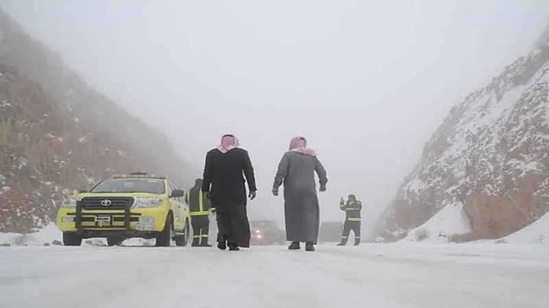 بالصور.. أمانة حائل تصادر كمية من لحوم وفراخ مجمدة «فاسدة»