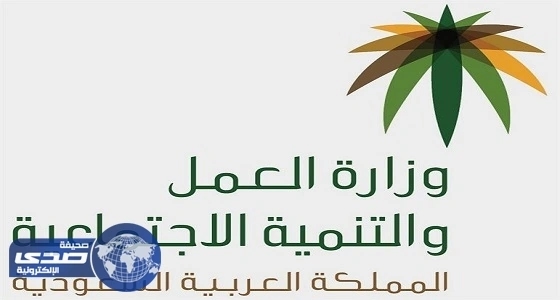 العمل تعلن عن عدد المواطنين وشركات الاستقدام المسجلة في «مساند»