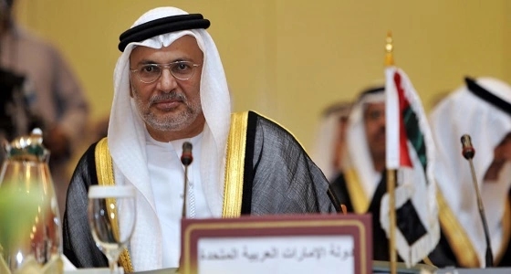 " قرقاش " : محاربة الفكر المتطرف الأداة الحقيقة للقضاء على الإرهاب