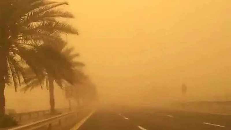 بالفيديو.. "المسند" يحذر من عاصفة رملية على بعض أجزاء المملكة اليوم
