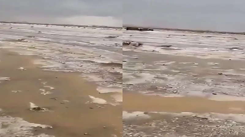 فيديو يكشف عن بردية الرفايع بحائل