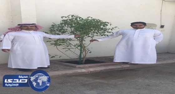 بالصور.. سكان الرياض يتفاعلون مع برنامج الأمانة البيئي " شجرة لكل مبنى "