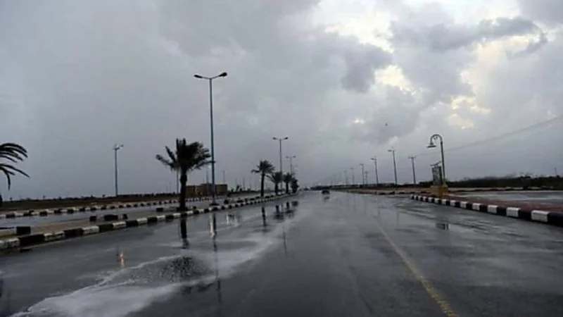 العقيل: شهر أبريل ذروة الأمطار ..فيديو