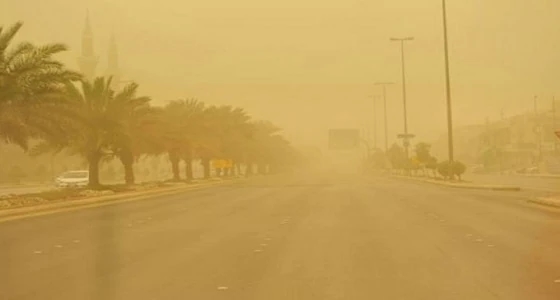 خبير مناخي: رياح مثيرة للأتربة تضرب عدة مناطق نهاية الأسبوع