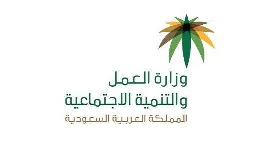 " العمل " توقف تقديم حقيبة تدريبية للتوعية بالزواج