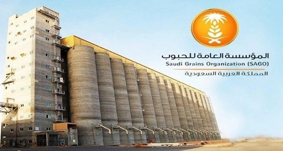 " الحبوب " تنتهي من ترسية الدفعة الخامسة من القمح المستورد هذا العام