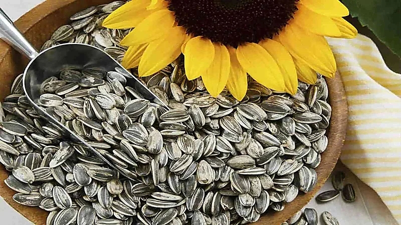 فوائد صحية لبذور دوار الشمس لايعرفها الكثيرون