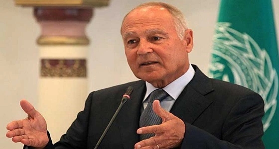 أبو الغيط يطير إلى الأردن لحضور اللجنة العربية السداسية