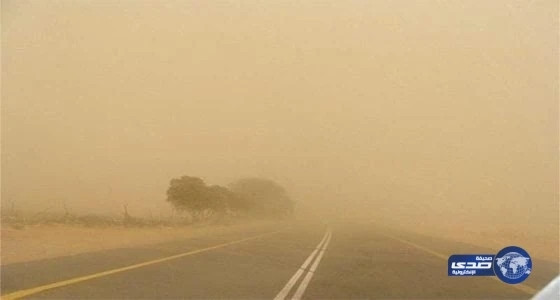إحباط محاولة هجرة غير شرعية في مصر