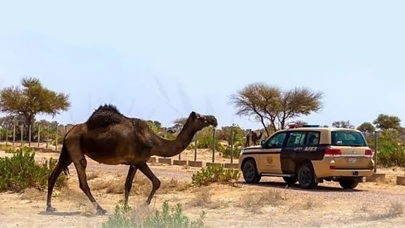 بالفيديو.. " تعليم الرياض " تكشف تفاصيل الطالب المُعنف في مدرسة التربية الفكرية