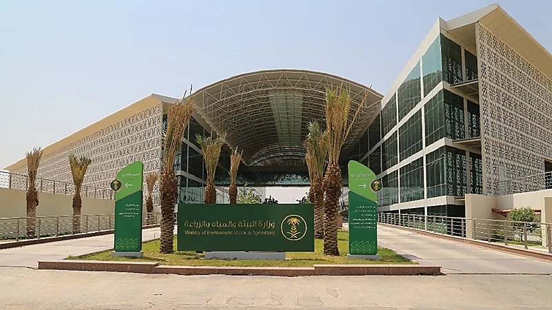 "البيئة" تطلق خدمتي إذن الدخول والخروج للهجن المشاركة في المسابقات عبر "أنعام بلس"