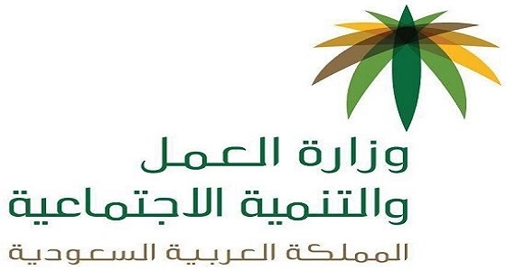 " العمل " تكشف عن إمكانية تقديم إعانة مالية للمصابين بتشوهات شديدة