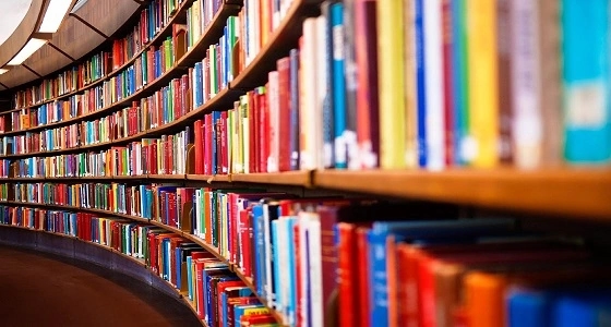 سحب نسخ إحدى الروايات الخادشة للحياء من المكتبات