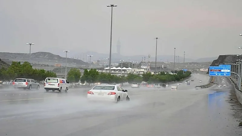 بالفيديو.. الأرصاد: كتلة هوائية باردة تؤثر على الأجزاء الشمالية