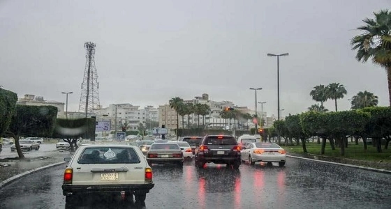 الأرصاد ومدني الطائف ينبهان من سحب رعدية ممطرة
