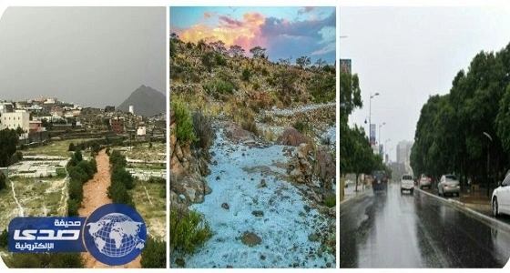 بالصور.. موظفو متجر شهير يبيعون الكوكايين في علب البيتزا