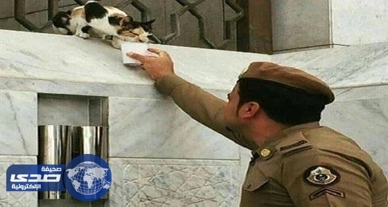الأزمة الاقتصادية تدفع قطر على إجبار العمال على التقدم بإجازات غير مدفوعة