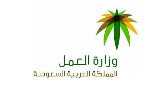 هل للمكفوفين إعانات سنوية من التأهيل ؟ .. " العمل " تجيب