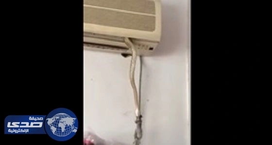 بالفيديو.. خروج ثعبان من تكييف لاصطياد فأر