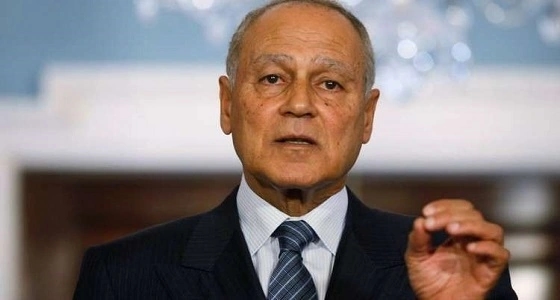 أبوالغيط يدعو لإطلاق عملية تفاوضية لإنهاء الاحتلال الإسرائيلي وإقامة دولة فلسطينية