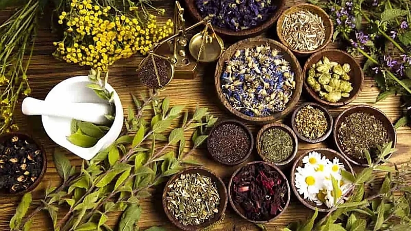 6 أعشاب طبيعية للتخلص من التوتر والقلق