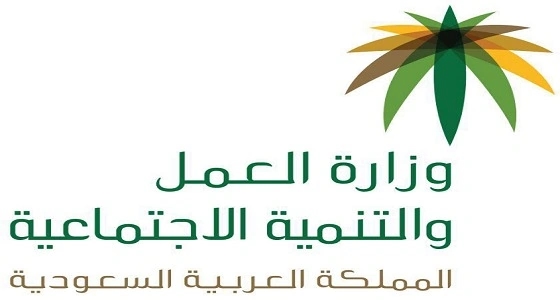 بالصور.. 364 زيارة تفتيشية للمنشآت بالمدينة المنورة