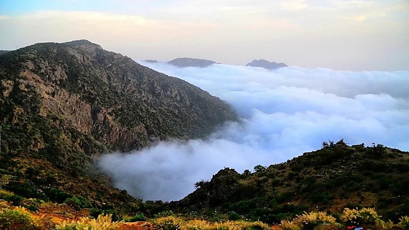 بالفيديو.. دوافع اختيار السودة وجهة سياحية عالمية