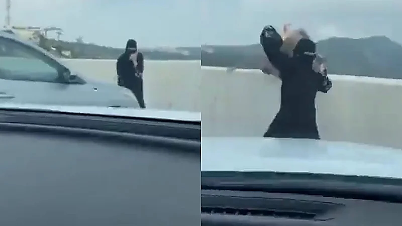 قرد يهاجم فتاة أثناء تصويرها للسحاب في مشهد محرج أمام الشباب .. فيديو