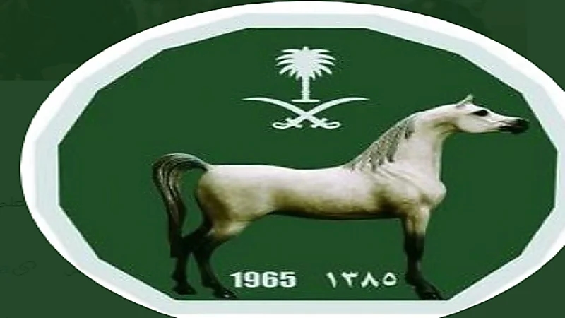 نادي سباقات الخيل يوضح سبب تأخر اعتماد نتائج الموسم