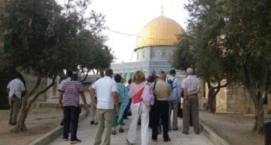 لأداء طقوس تلمودية.. مستوطنون يقتحمون المسجد الأقصى بحراسة جنود الاحتلال
