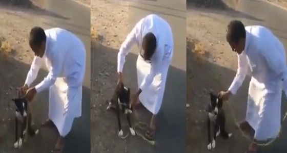 بالفيديو.. " مواطن " يجسد معنى الإنسانية بعد أن فك وثاق كلب