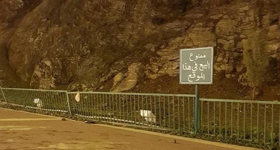 بالفيديو.. أمانة عسير تكشف تفاصيل حادث الانهيار الصخري بأبها وتحذر الاقتراب