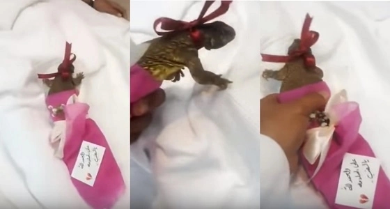 بالفيديو.. مواطن يضع " ضبًا " في بوكية ورد ويهديه لطفل مريض