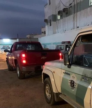 بالفيديو.. هاني ناظر مهددا سارة دندراوي: «هعملك بلوك»